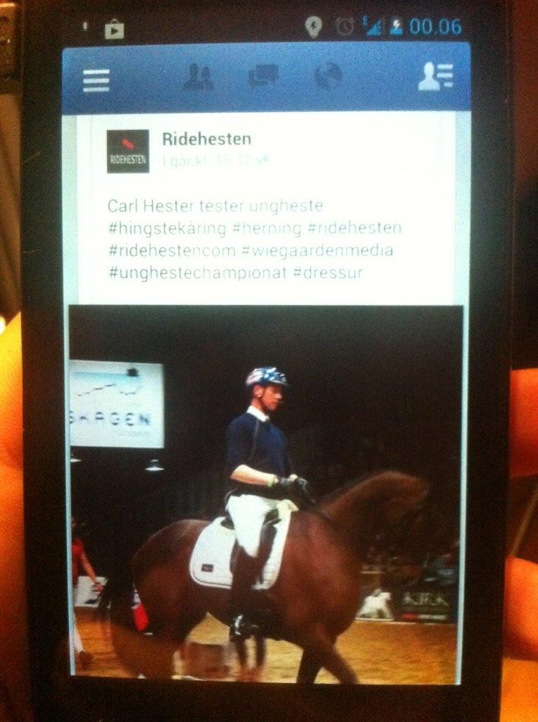 Dansk Varmblod Ørsbjerggårds Bacchus - Min lille drengerøv kom lige på ridehesten side på Facebook under Fremmedrytter test med Carl på ryggen :) billede 6