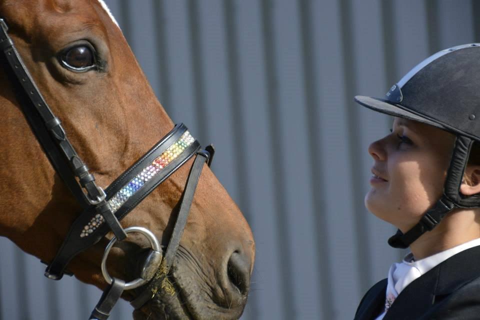 Trakehner Lalandia (Nulle) *RIP D. 24/7-15* billede 3