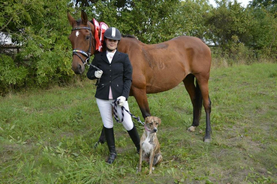 Trakehner Lalandia (Nulle) *RIP D. 24/7-15* billede 11