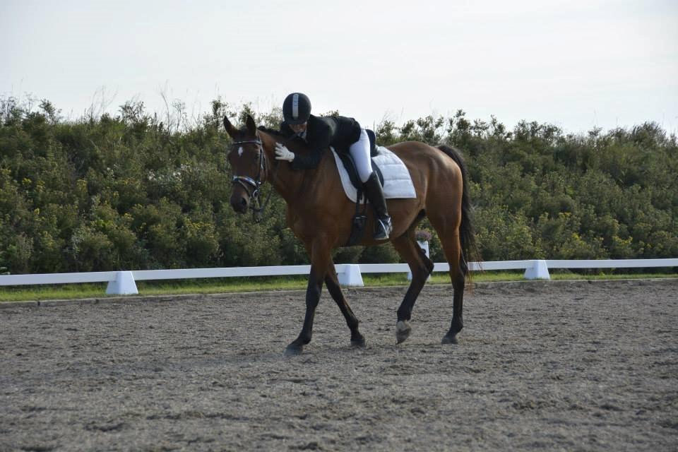 Trakehner Lalandia (Nulle) *RIP D. 24/7-15* billede 15