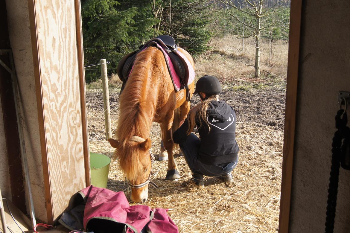Anden særlig race Rosa - Rosa & Astrid billede 32