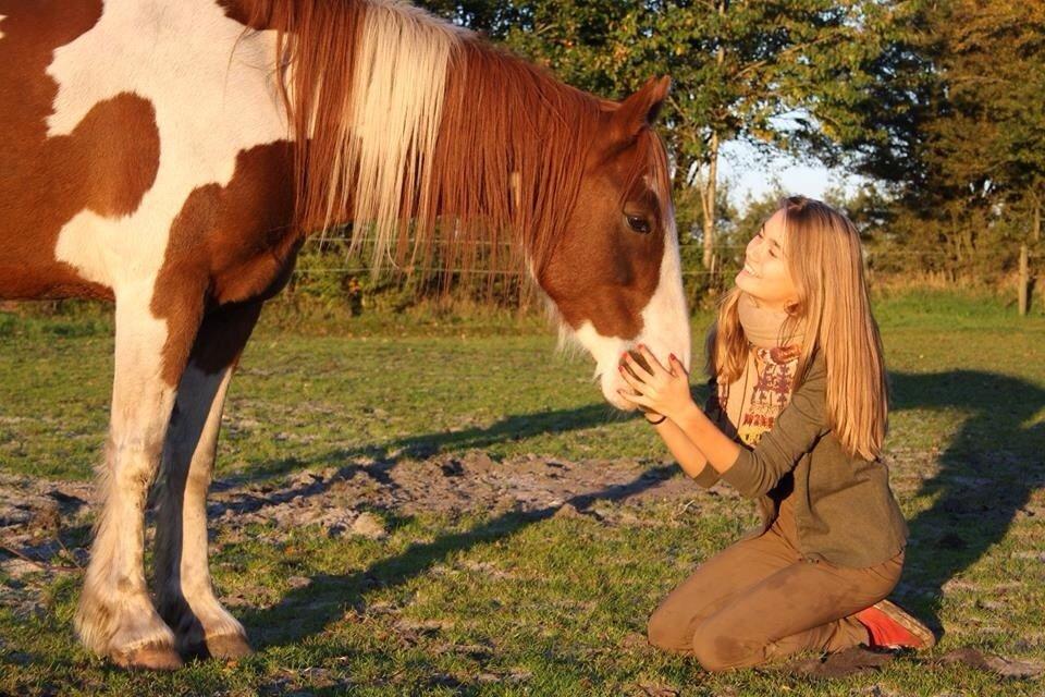 Pinto Tinker blanding Ronja "Ponyen med pletter" billede 20