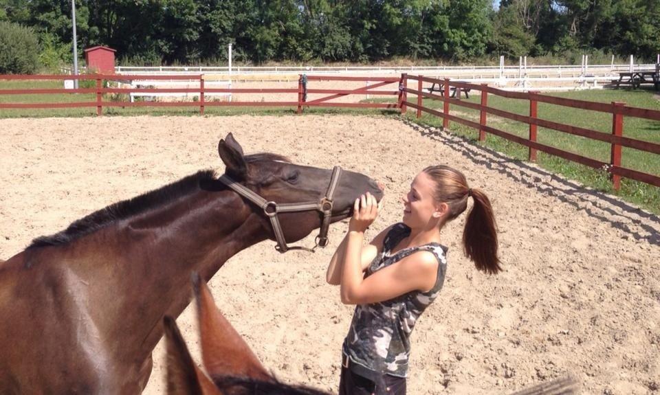 Sportsaraber (A) Lundgårds Tiger Lili billede 10