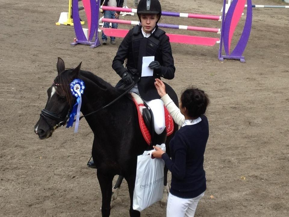 Sportsaraber (A) Lundgårds Tiger Lili billede 12