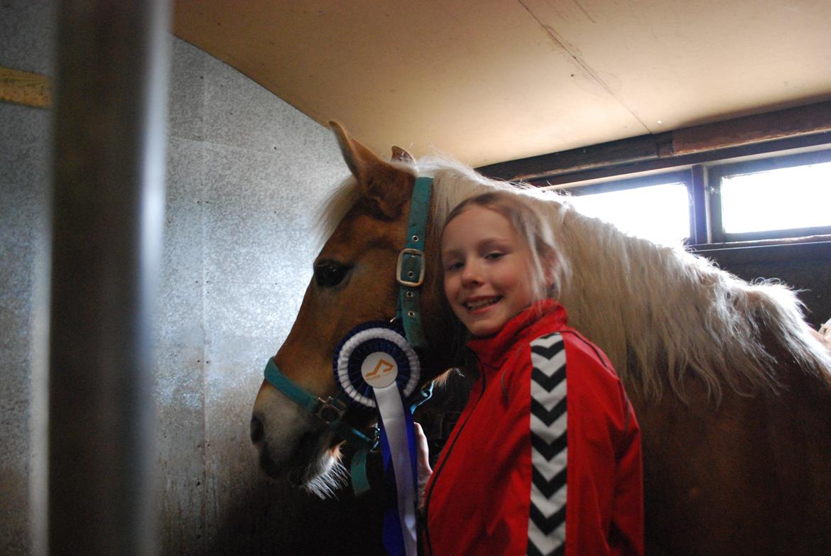 Haflinger Sissi - 2.plads i LC1-  60,50%
Super fin runde:-) 5/11 2013 billede 38