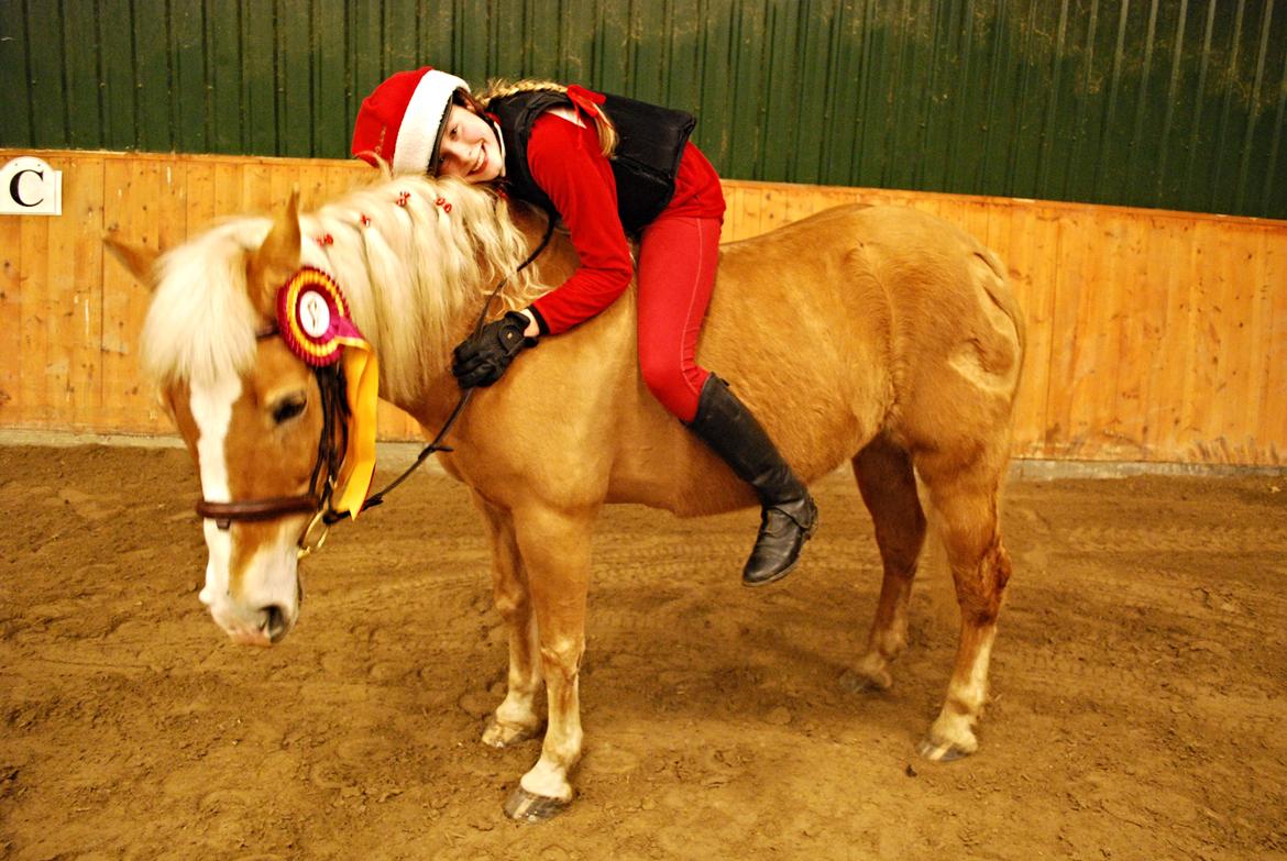 Haflinger Sissi - Sløjfespring 40 cm 20/12 2013 juleafslutning billede 39