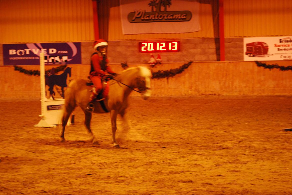 Haflinger Sissi - Ponygamesopvisning juleafslutning 20/12 2013<3 billede 40