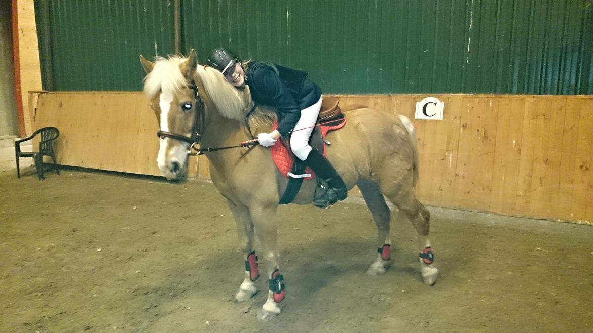 Haflinger Sissi - 14/03/2014 sløjfespringstævne 70 cm og 80 cm. Love u sissi<3 billede 42