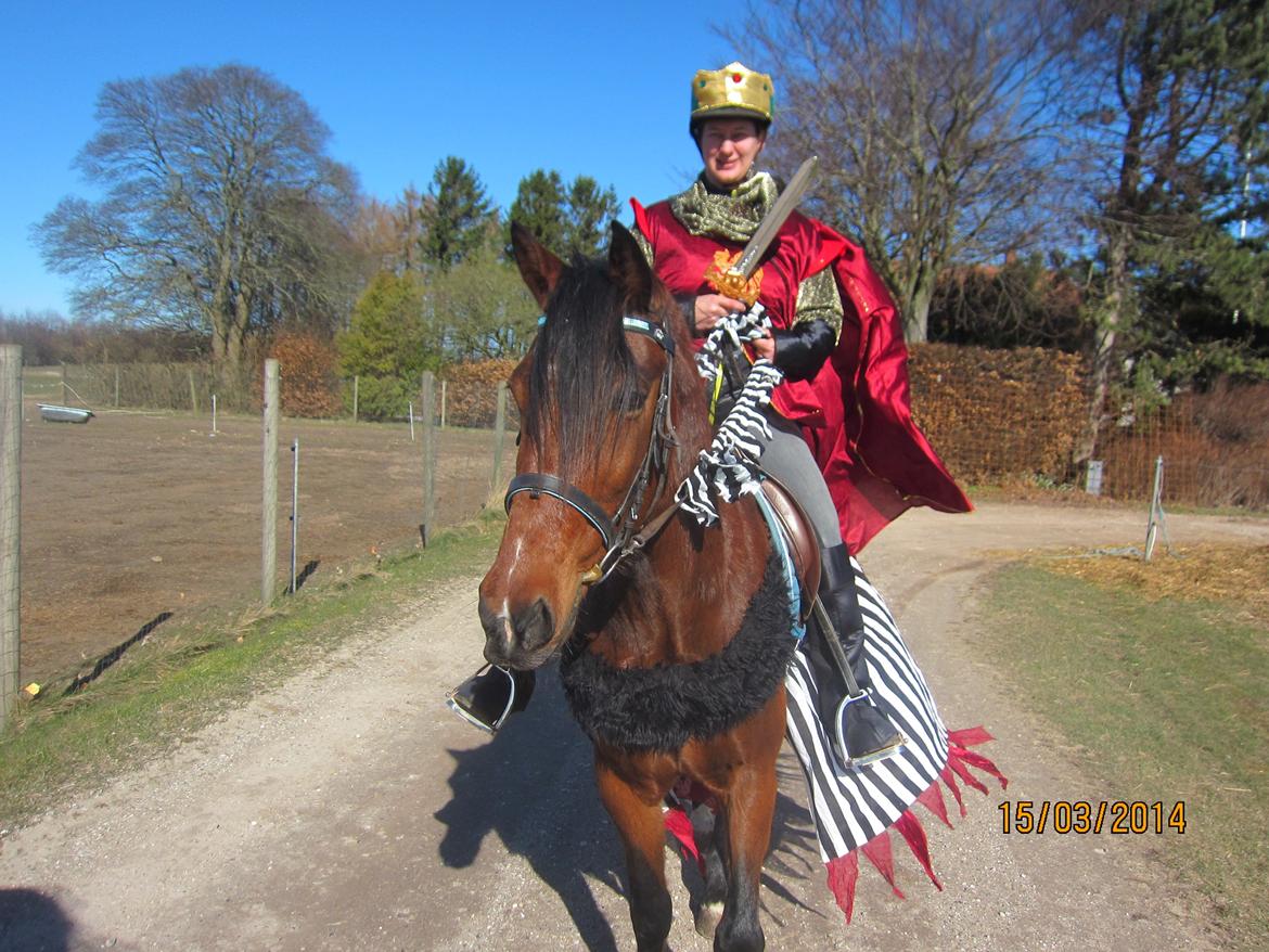 Traver Torak billede 15