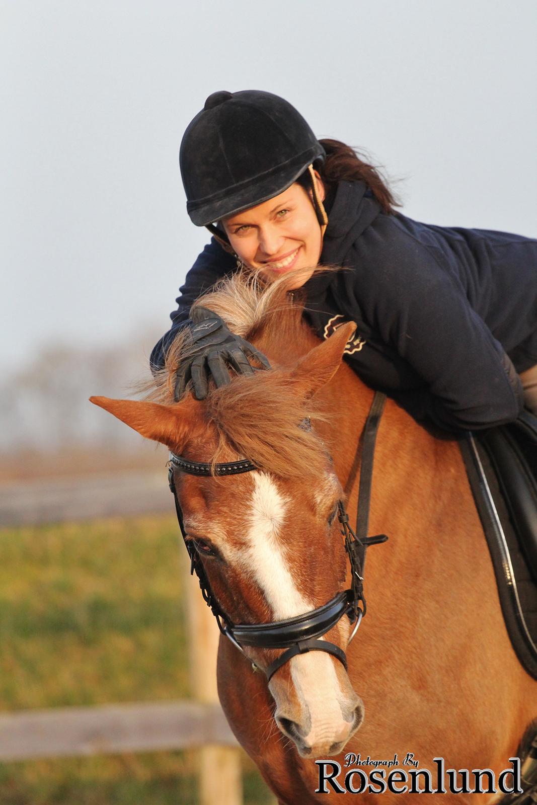 New Forest Folehaves Nathali * klubmester i spring 2013* billede 1