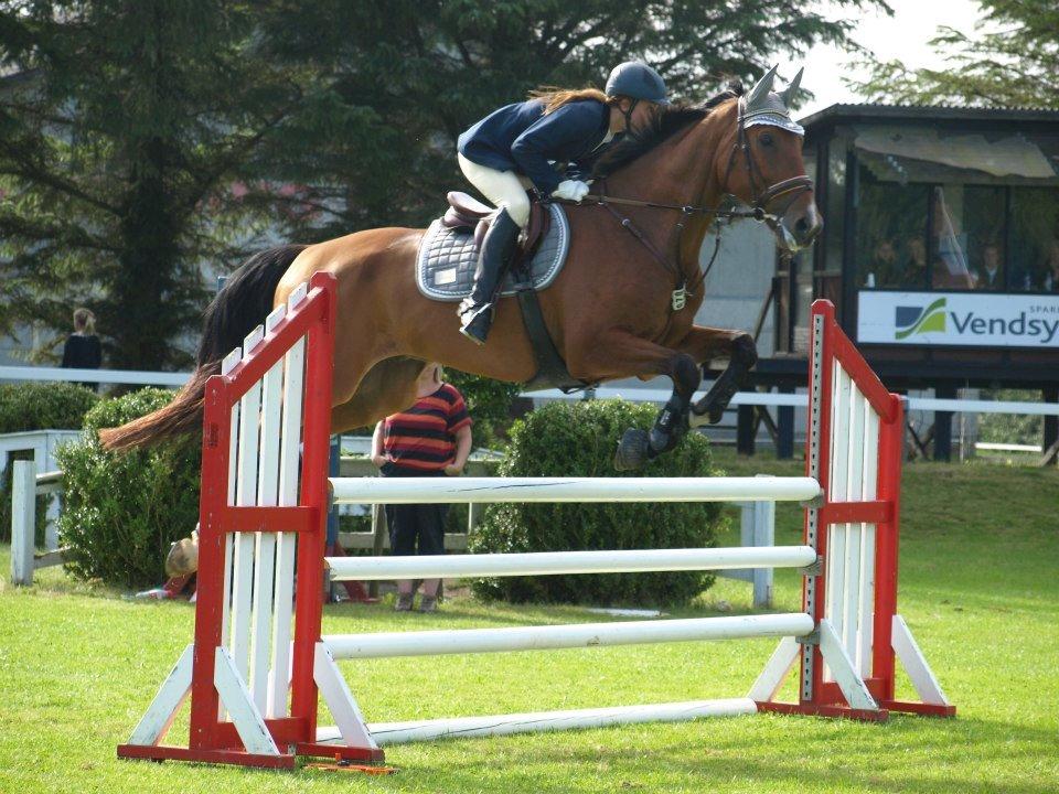 Dansk Varmblod Cappuchino - Heh! Vandt Hjørring Cuppen, selvom jeg glemte banen i omspringning i finalen... Det må man kalde en overbevisende sejr :) Skønne Hest - August 2012 billede 26