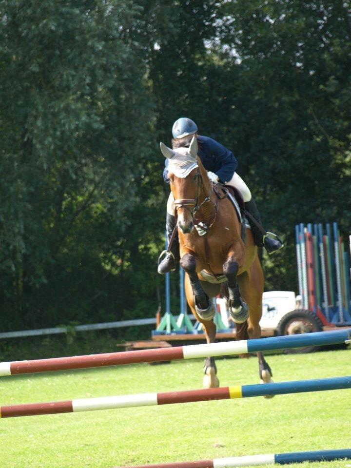 Dansk Varmblod Cappuchino - Heh! Vandt Hjørring Cuppen, selvom jeg glemte banen i omspringning i finalen... Det må man kalde en overbevisende sejr :) Skønne Hest - August 2012 billede 23