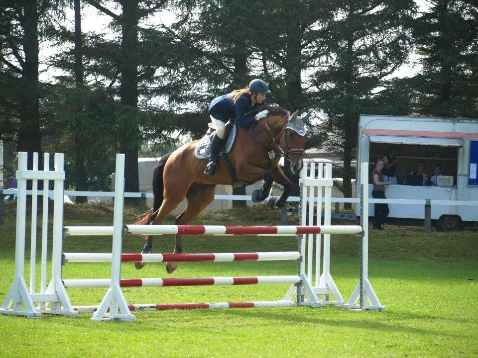 Dansk Varmblod Cappuchino - Heh! Vandt Hjørring Cuppen, selvom jeg glemte banen i omspringning i finalen... Det må man kalde en overbevisende sejr :) Skønne Hest - August 2012 billede 21