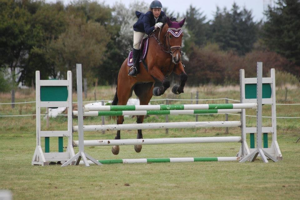 Dansk Varmblod Cappuchino - LB** i Hirtshals rideklub. Skønne hest tog 1 plad i alle klasser den weekend :) - September 2012 billede 16
