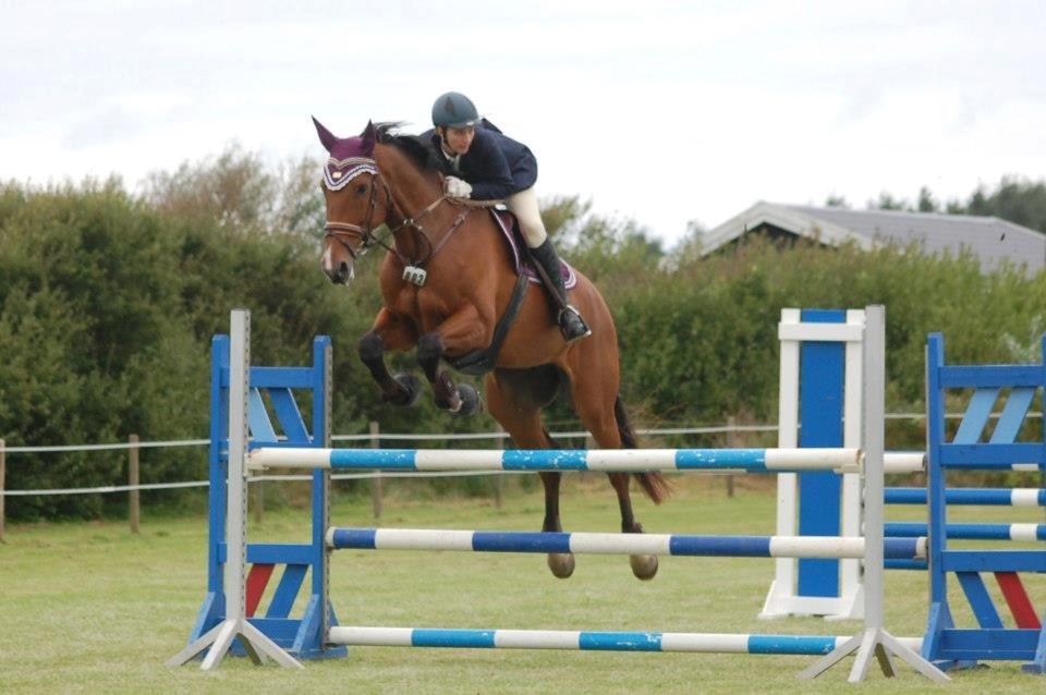 Dansk Varmblod Cappuchino - LB** i Hirtshals rideklub. Skønne hest tog 1 plad i alle klasser den weekend :) - September 2012 billede 15