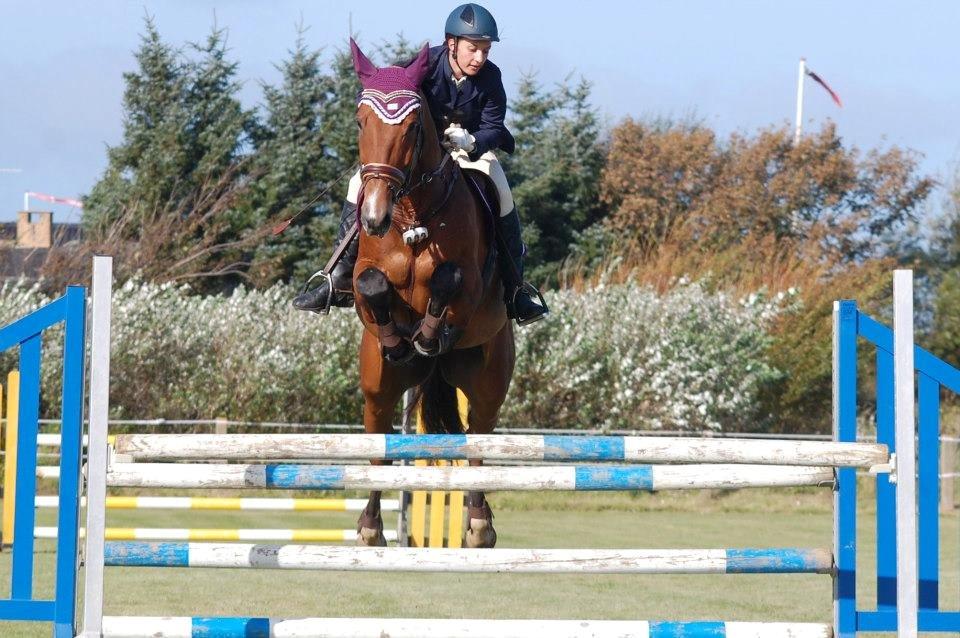 Dansk Varmblod Cappuchino - LB** i Hirtshals rideklub. Skønne hest tog 1 plad i alle klasser den weekend :) - September 2012 billede 19