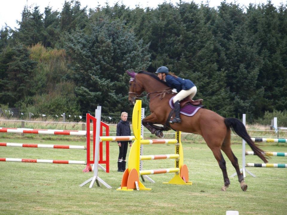 Dansk Varmblod Cappuchino - LB** i Hirtshals rideklub. Skønne hest tog 1 plad i alle klasser den weekend :) - September 2012 billede 17