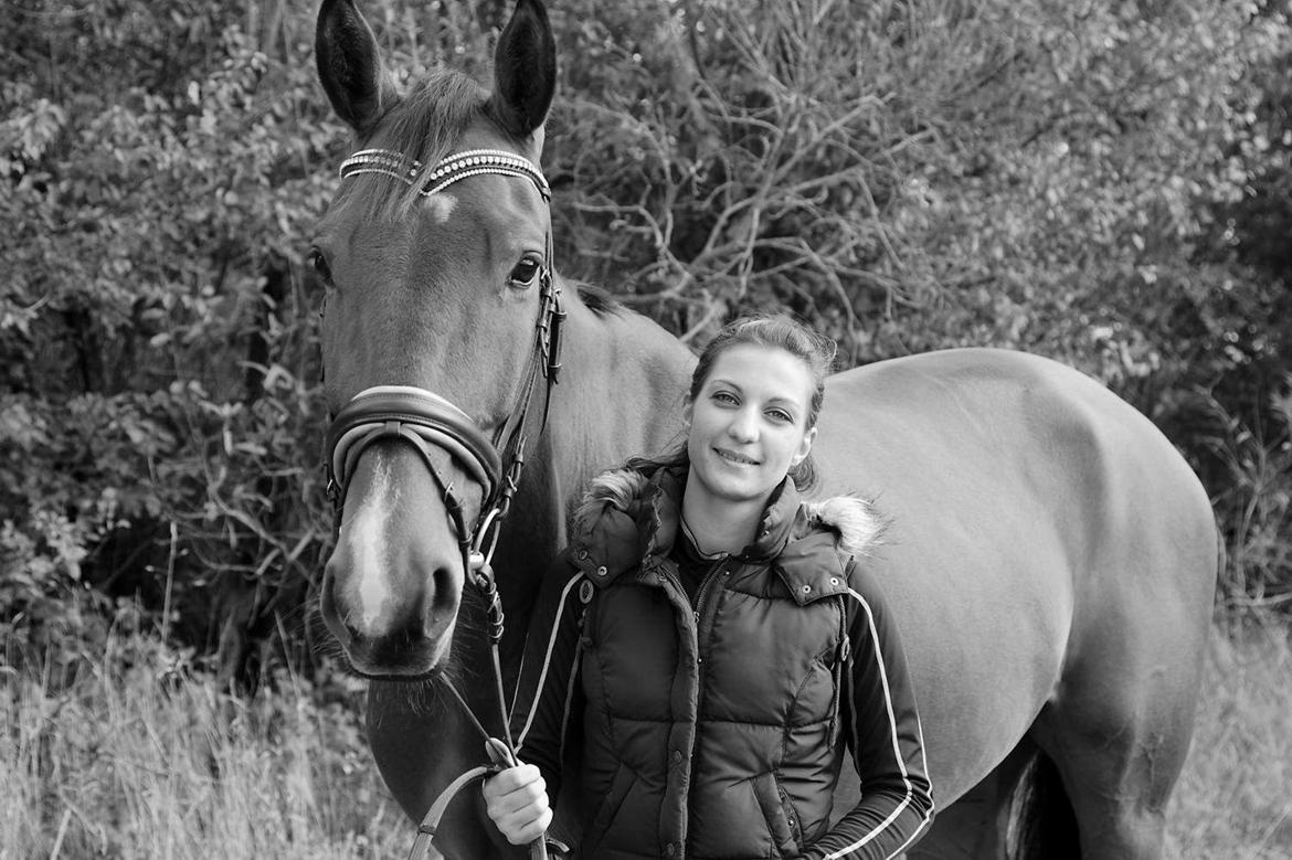 Dansk Varmblod Cappuchino - Andreas tog nogle billeder af os, men desværre ligner Chino et æsel med hans ører på 95% af dem :) billede 5