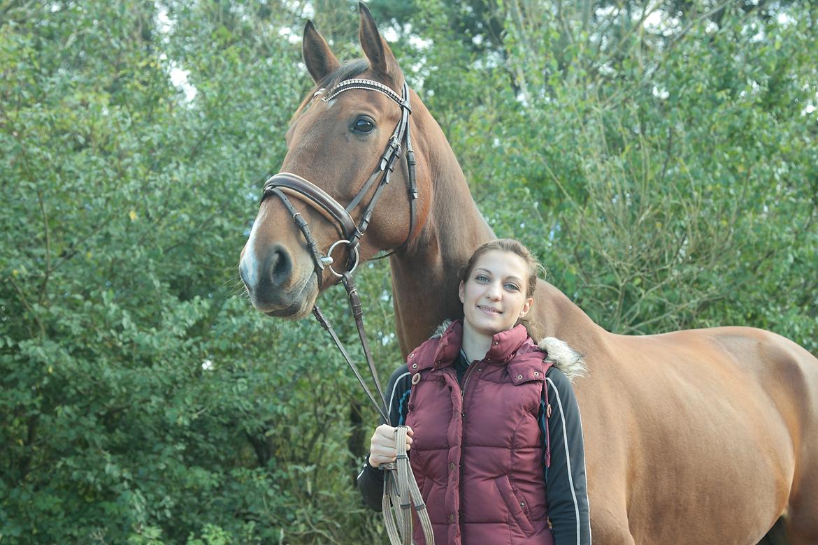 Dansk Varmblod Cappuchino - Fotoshoot med Andreas billede 6