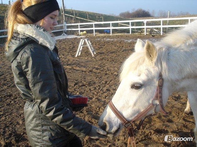 Tysk Sportspony Alina<3(tidl.part) - "Hmm... Sikke en dejlig hånd du har, den dufter af godbider" billede 2