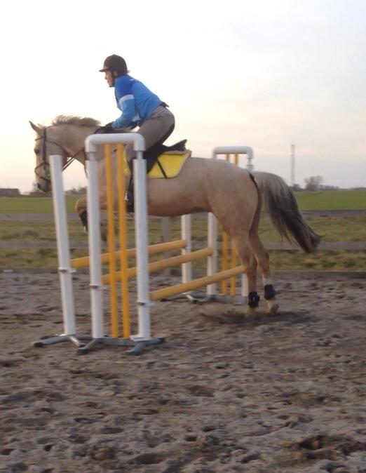 Palomino Kruse's Le Zander billede 17
