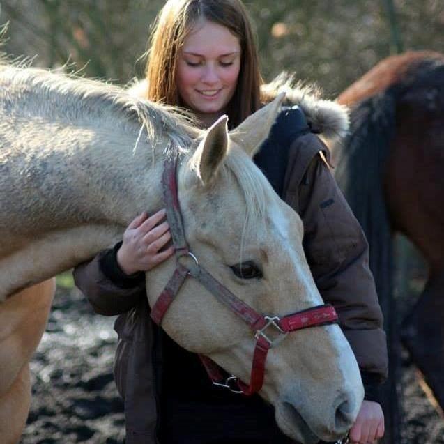 Palomino Kruse's Le Zander - kom gerne med en bedømmelse ;) billede 1