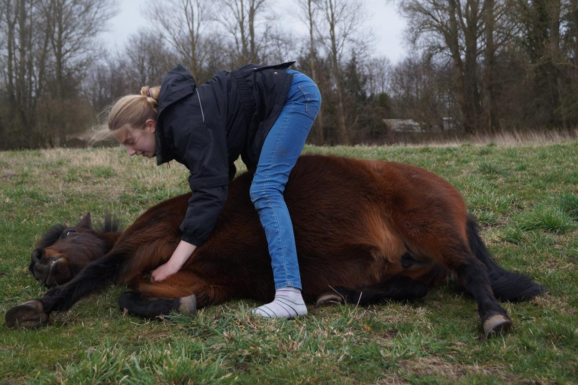 Anden særlig race Clara *My soulmate* - "When life gives you a hundred reason to cry, show life that you have a thousand reason to smile." billede 15