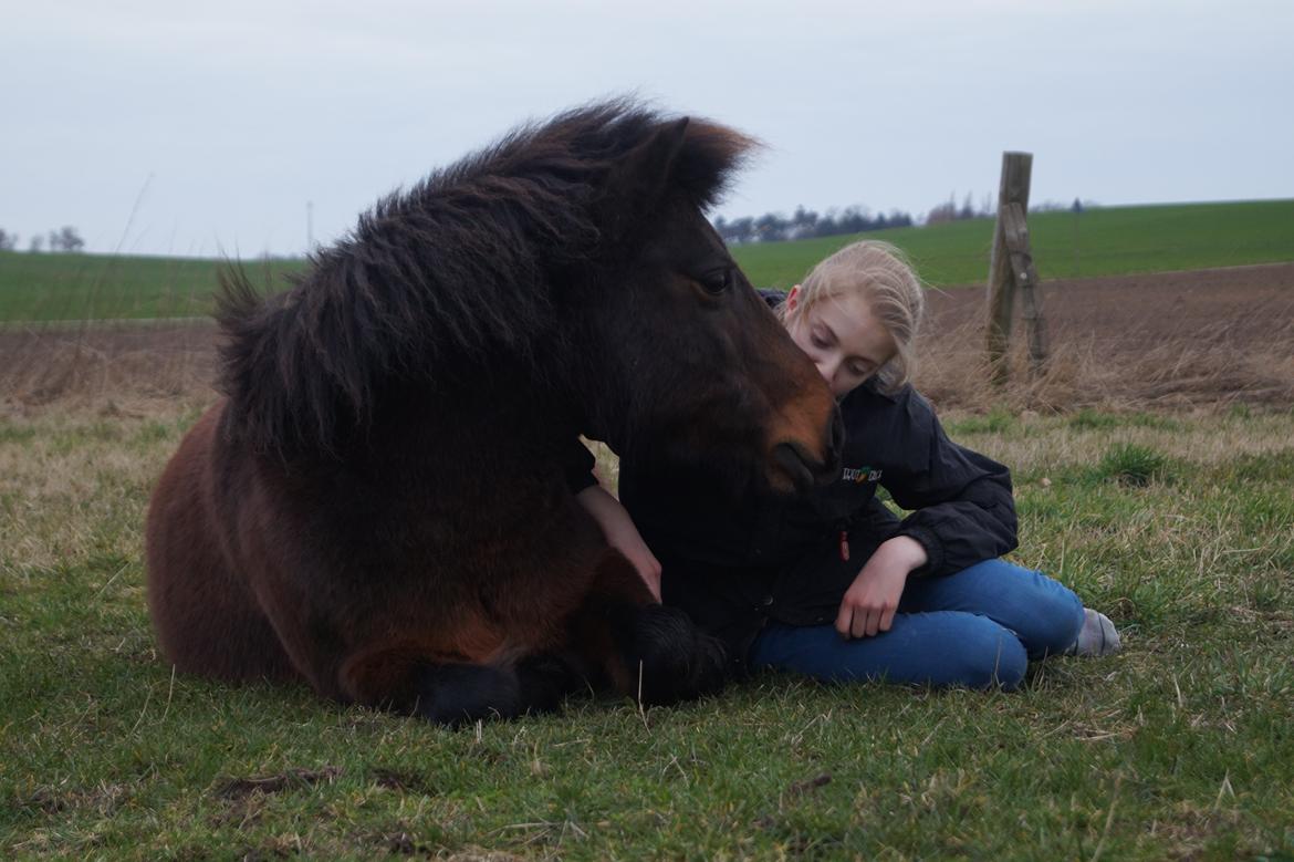 Anden særlig race Clara *My soulmate* - Et liv uden dig, ville ikke være et liv, men et helvede!<3 billede 18