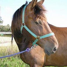 Traver mao seat (gammel part)