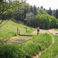 Islænder venus fra gjerstruhale
