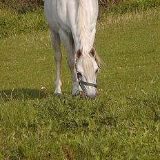 Anden særlig race Patrissia <3 :D  