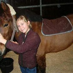 Anden særlig race My Little Pony - Solgt :(