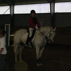 Connemara Maximillian af Ellebrud