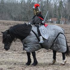 Welsh Cob (sec D) Åvangs Chess