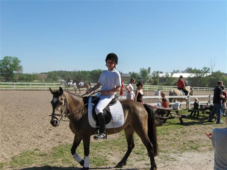 Anden særlig race Moonlight Skovly †R.I.P† - jeg vil ind nu billede 14