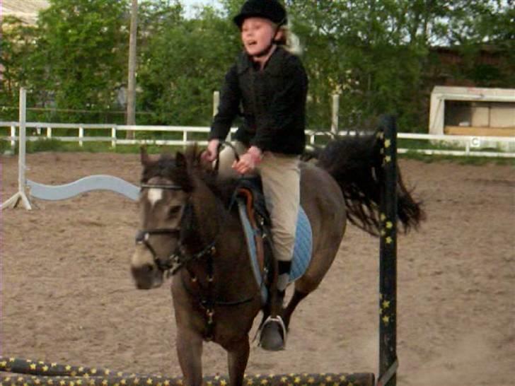 Anden særlig race Moonlight Skovly †R.I.P† - hov hvad skete der?hun tog lige et spring hun ikke skulle billede 15