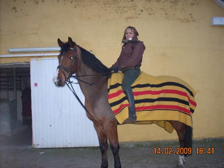 Dansk Varmblod Cocolou Comick ( pensioneret) - Nyt Dressur 2009 billede 10