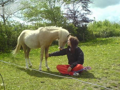 Welsh Pony (sec B) Tatoo † Død † - Er så tosset med den dreng billede 18