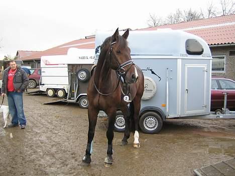 Holstener Carlos - Coriano billede 7