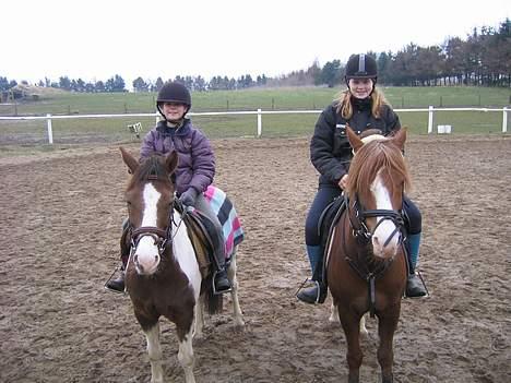 Pinto Don Ibrahim. - på ridelejr med Mia Koch og Andro i; billede 18