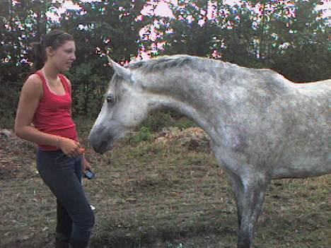 Anden særlig race Ariel ( solgt ) - Ariels flotte hals (: Camilla på billedet :bb <3 billede 13