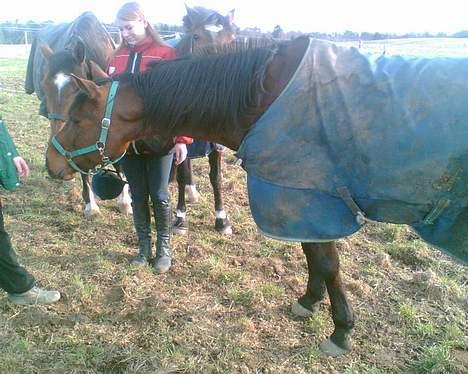 Traver mao seat (gammel part) - hvad fanden er det .? =D billede 4