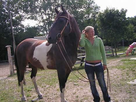 Pinto Joy the boy billede 2