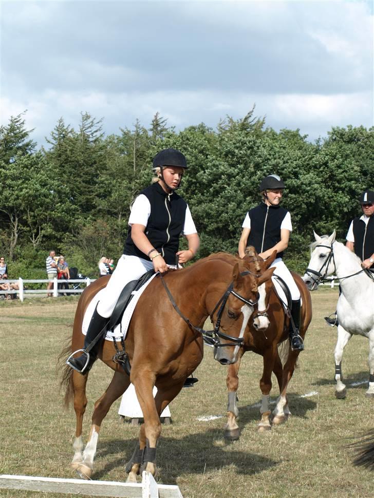 Anden særlig race Merci Dé Royale SOLGT  - . igen til kvadrille :*foto: Annesofie Lomholt  billede 10