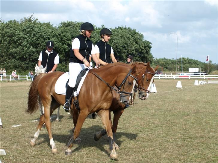 Anden særlig race Merci Dé Royale SOLGT  - . nogle der sagde twins ? <3´ (:foto: Annesofie Lomholt  billede 13