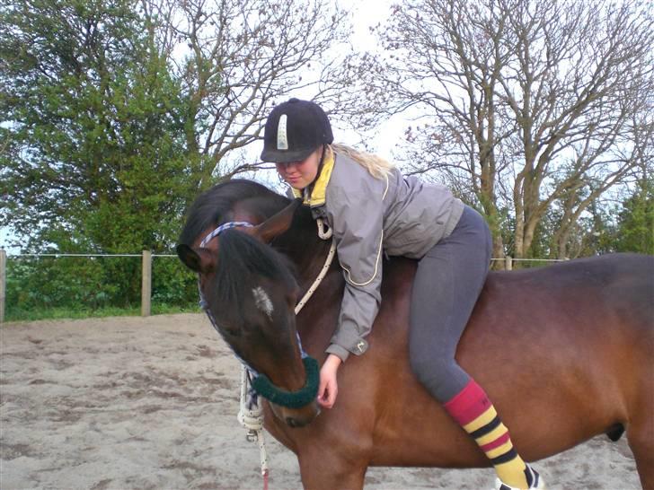 Anden særlig race Alijando Dianado RIP <3 - ps. I love you <3 foto: PKJ billede 13