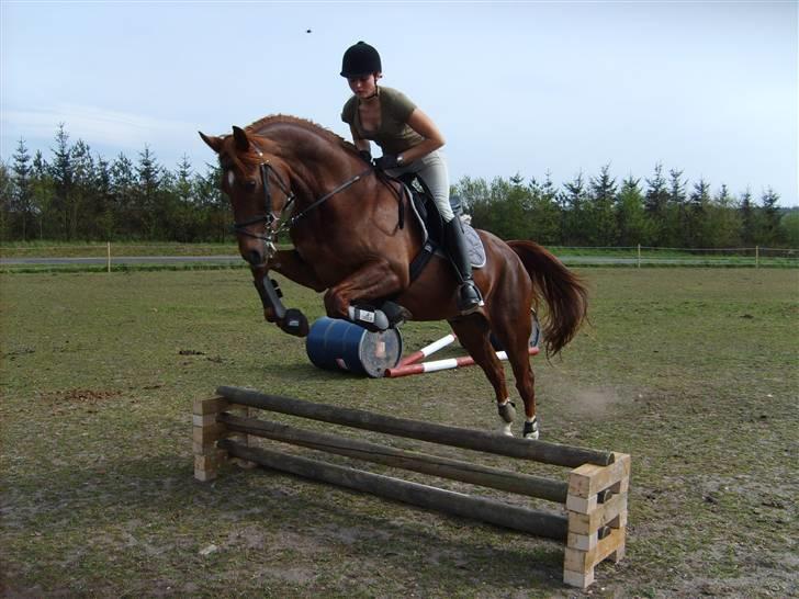 Anden særlig race Figaro <3 - April 2007 billede 11