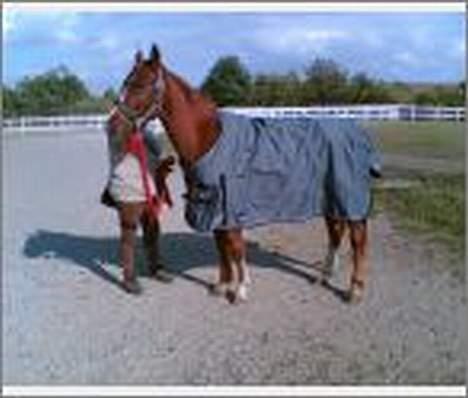 Anden særlig race Mr Bogart (solgt) - Den dag jeg købte ham han var tre billede 2