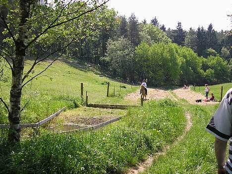 Islænder venus fra gjerstruhale - åhh neii vandgraven nærmer sig... mun det lykkes  billede 2