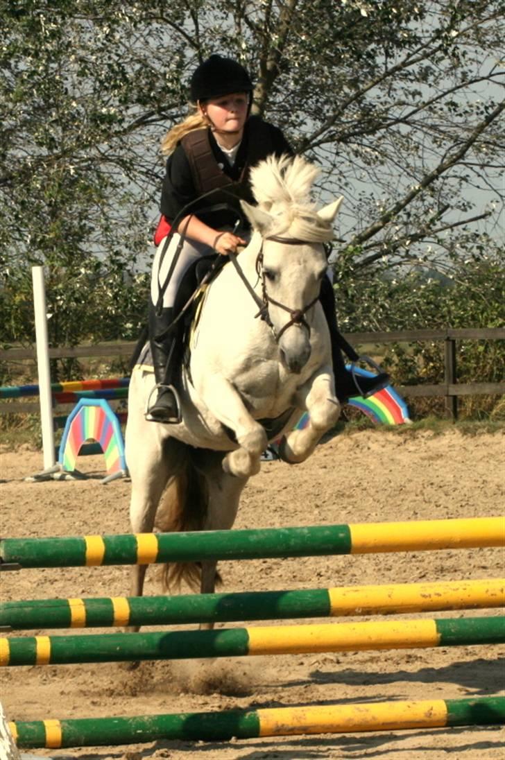 Anden særlig race Patrissia <3 :D   - Lb Fak (: <3  Fotograf , ; LIv , billede 1